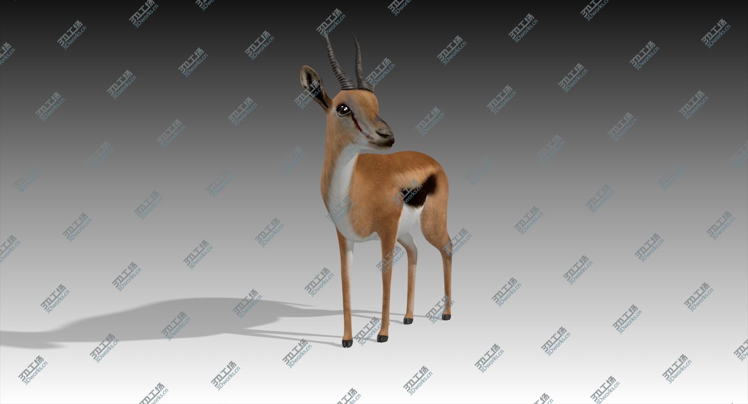 images/goods_img/2021040162/3D Gazelle Rigged/2.jpg